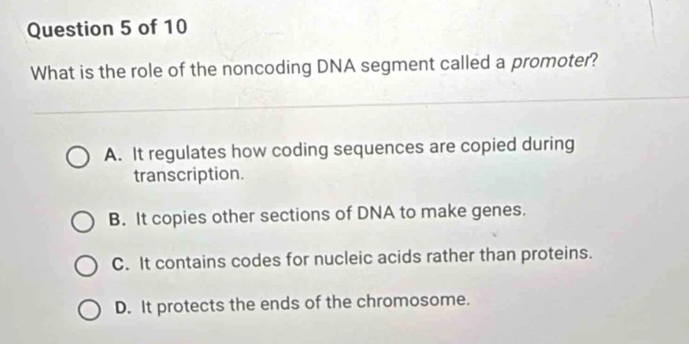 question 5 of 10 what is the role of the noncoding dna segment called a…