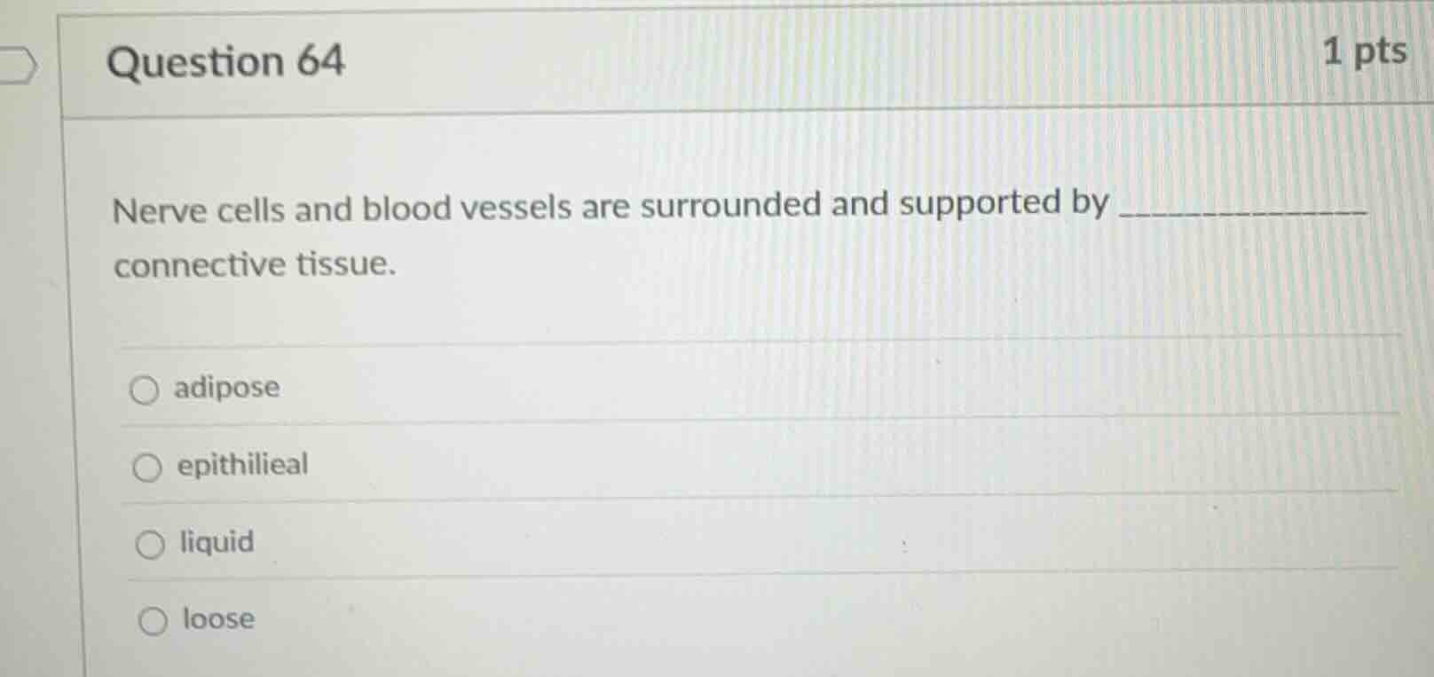 question 64 1 pts nerve cells and blood vessels are surrounded and supp…