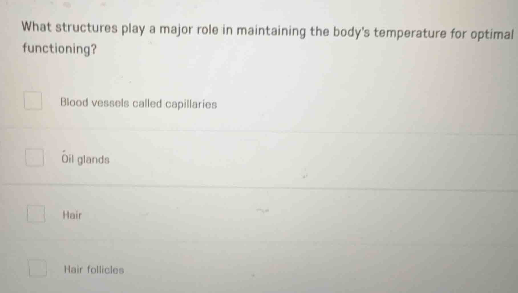 what structures play a major role in maintaining the bodys temperature …