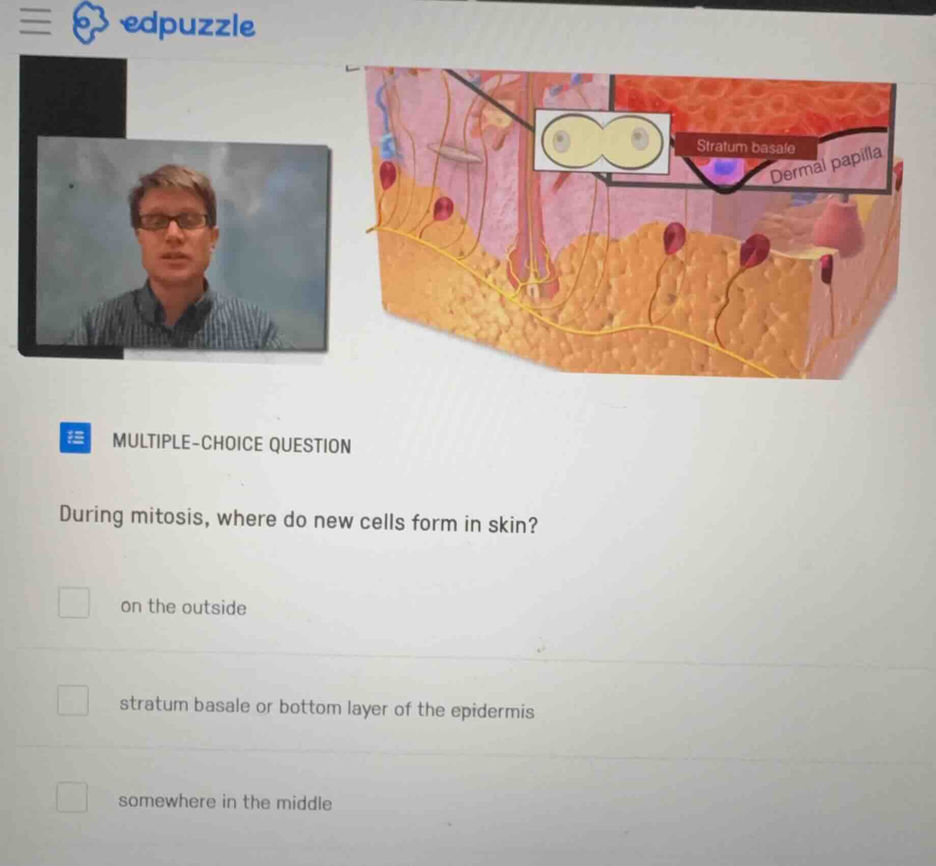 multiple-choice question during mitosis, where do new cells form in ski…