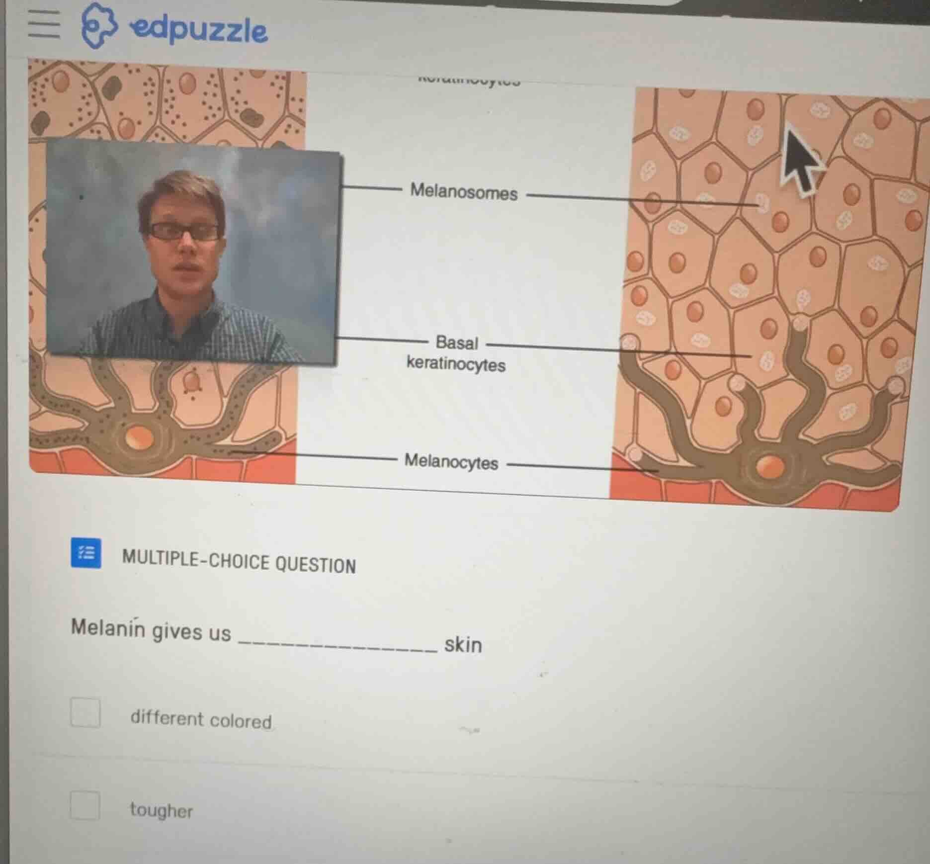 multiple-choice question melanin gives us ______________ skin different…