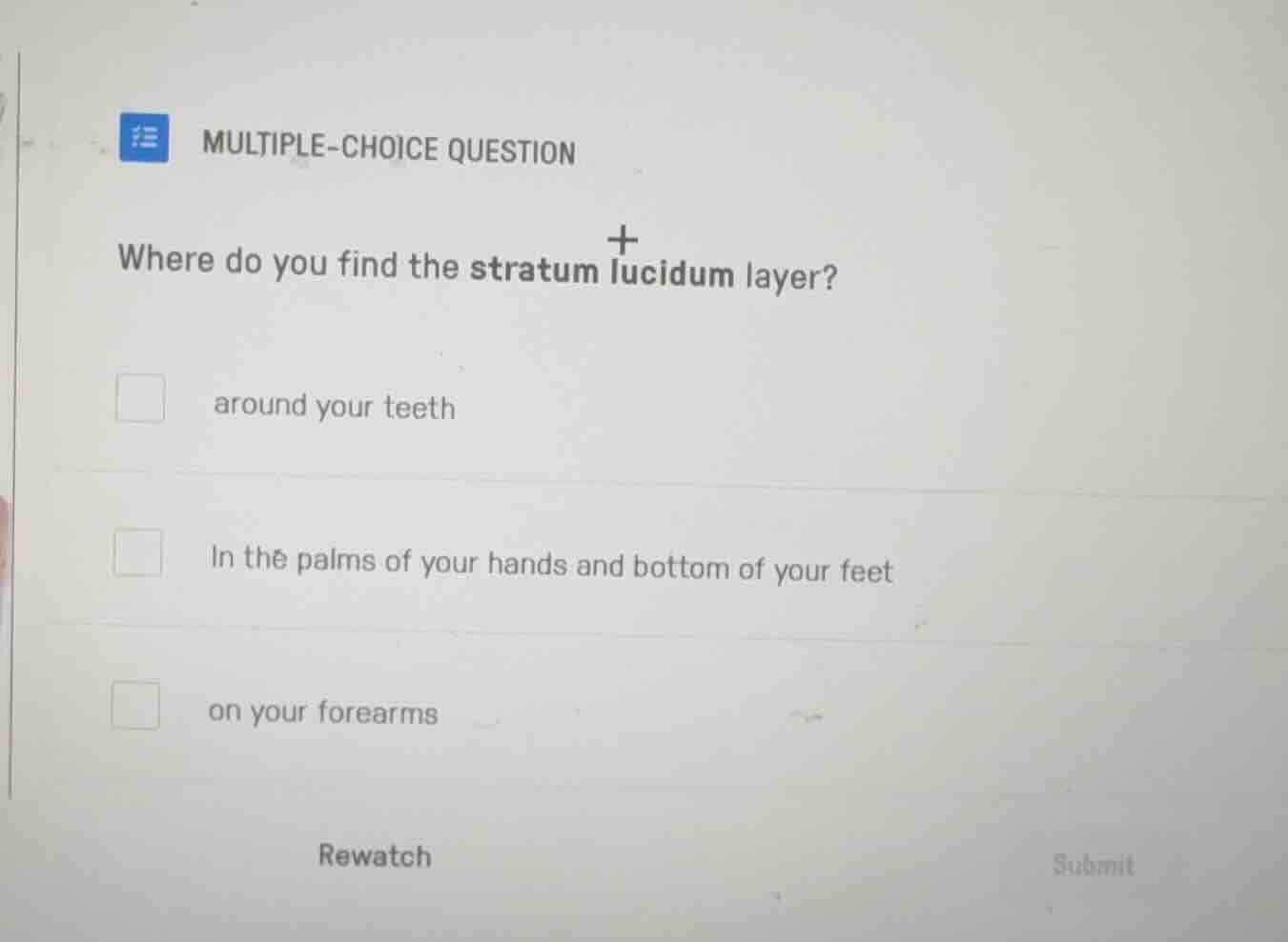 multiple-choice question where do you find the stratum lucidum layer? a…