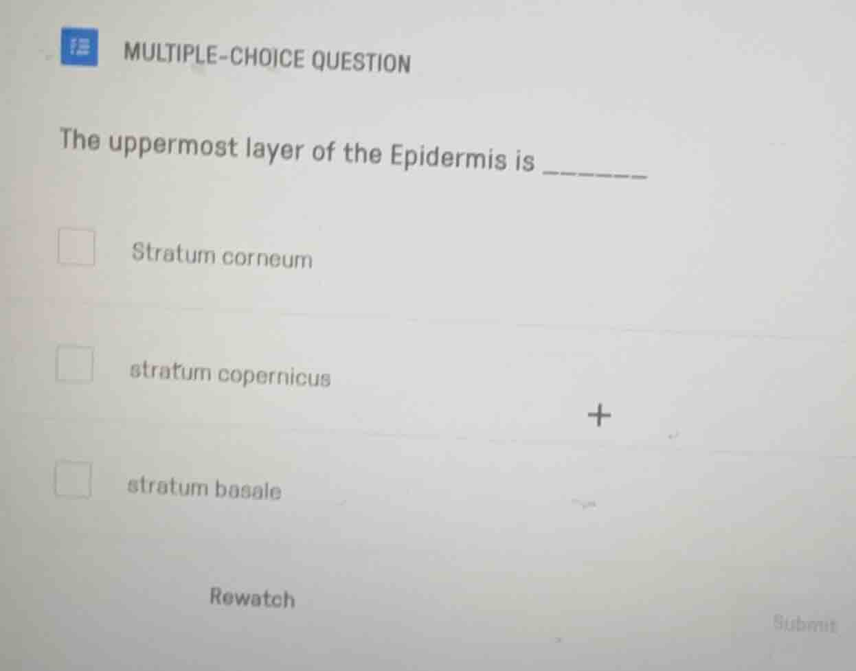 multiple-choice question the uppermost layer of the epidermis is stratu…