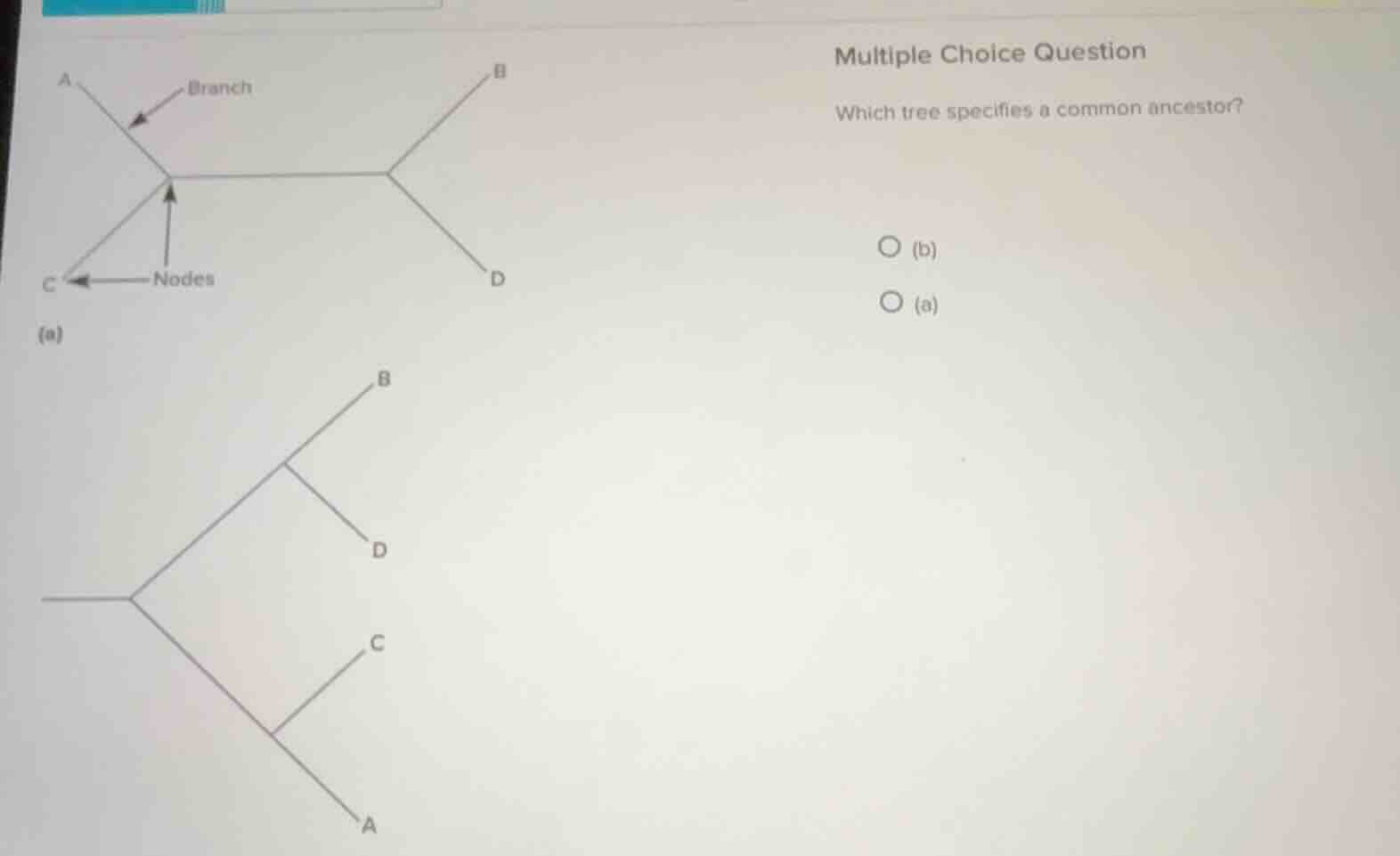 multiple choice question which tree specifies a common ancestor? ○ (b) …