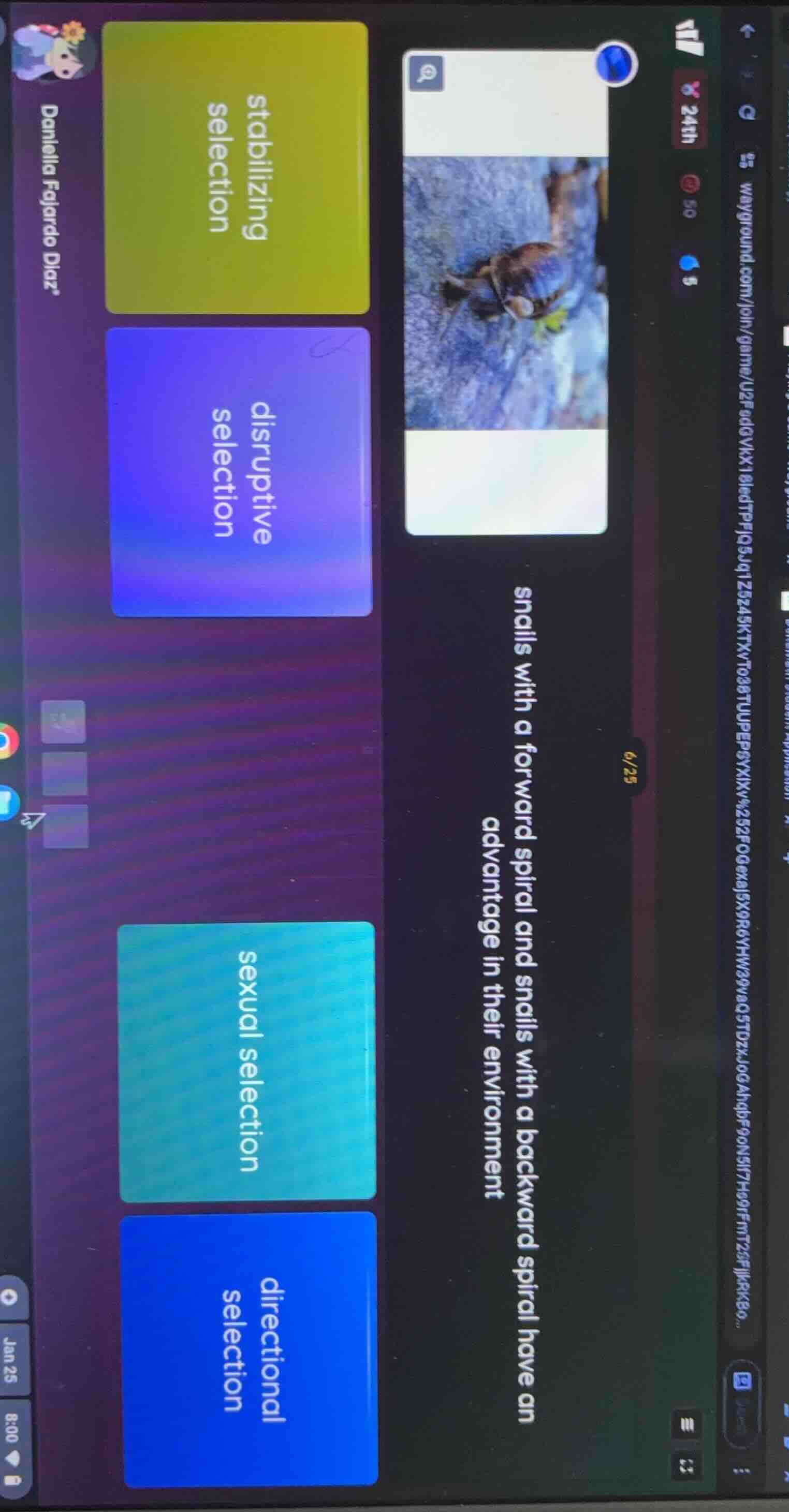 snails with a forward spiral and snails with a backward spiral have an …