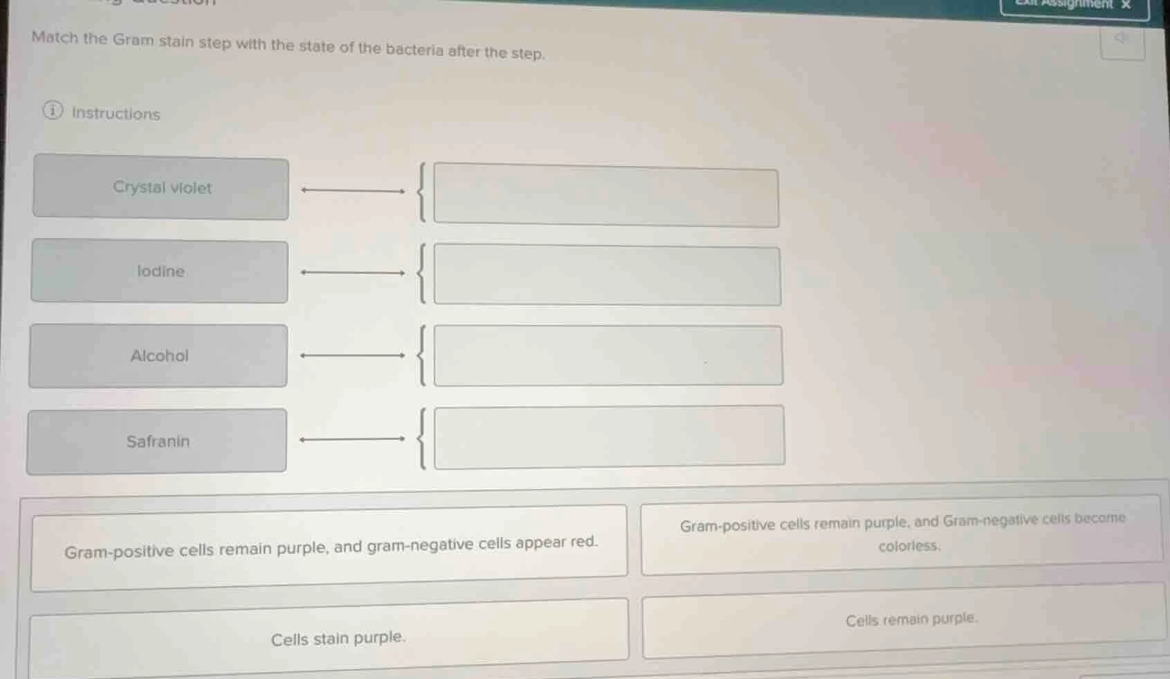 match the gram stain step with the state of the bacteria after the step…