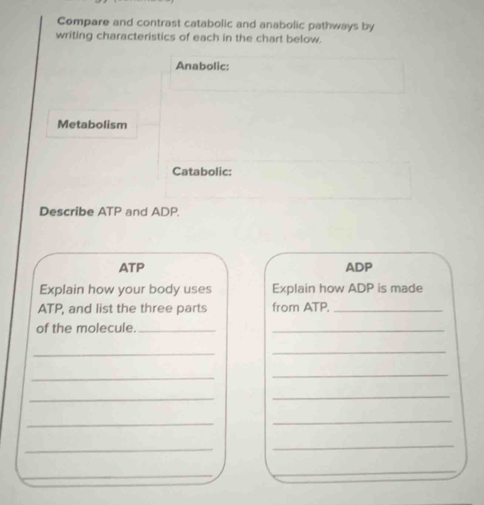 compare and contrast catabolic and anabolic pathways by writing charact…