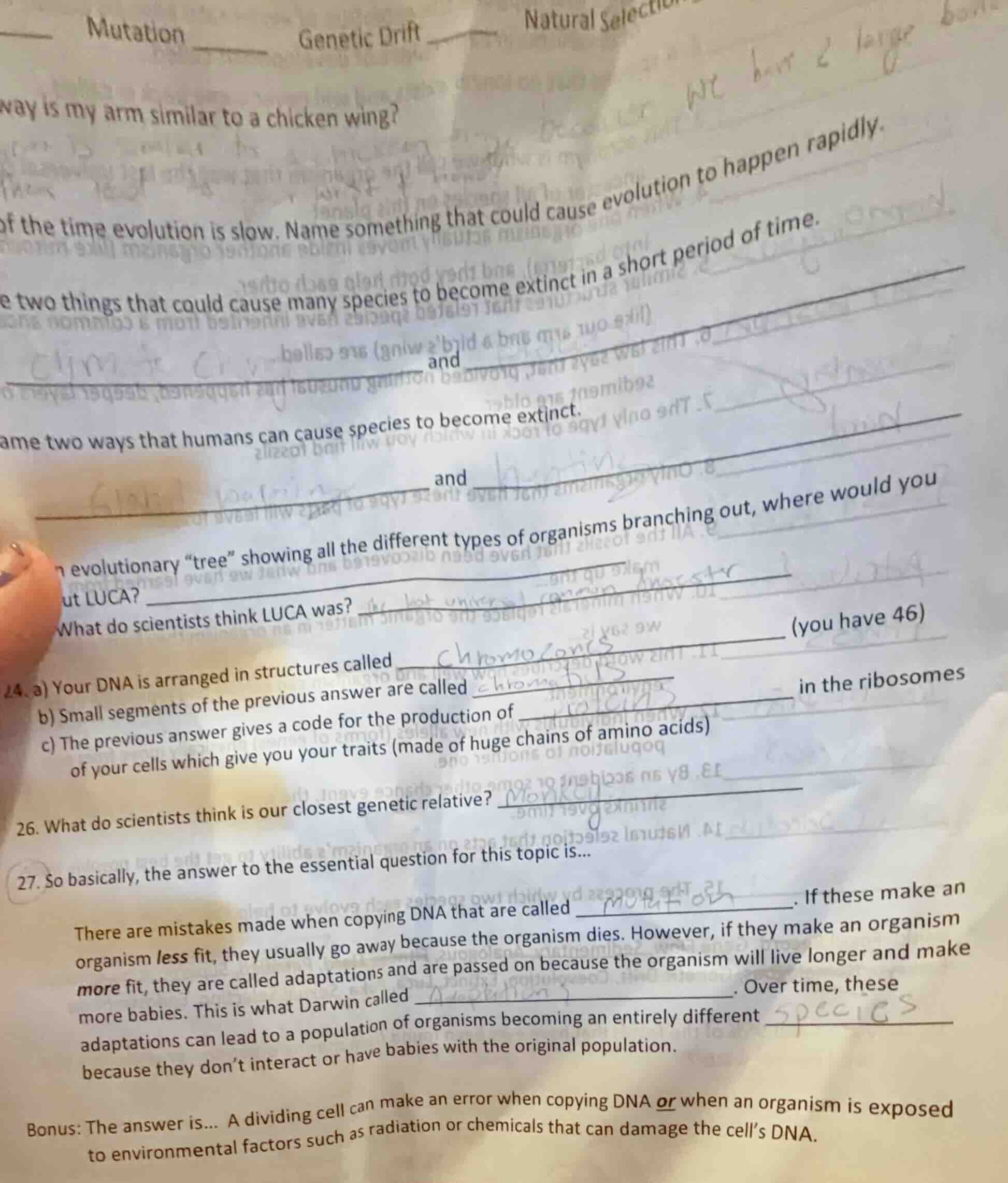 way is my arm similar to a chicken wing? of the time evolution is slow.…