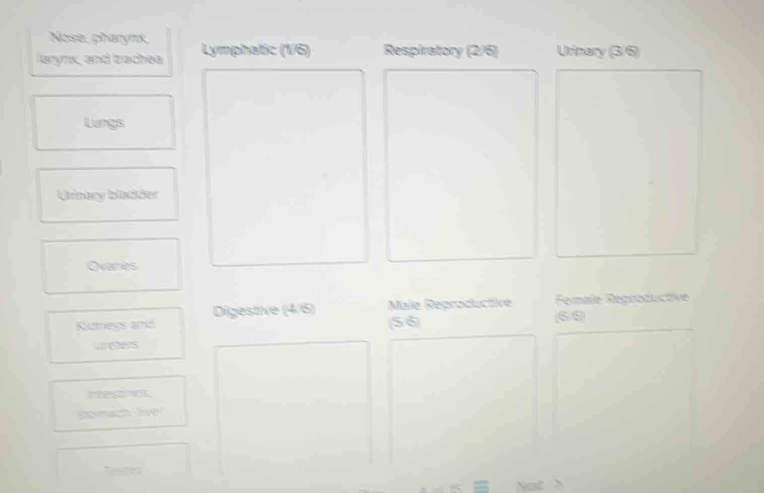 nose, pharynx, larynx, and trachea; lungs; urinary bladder; ovaries; ki…