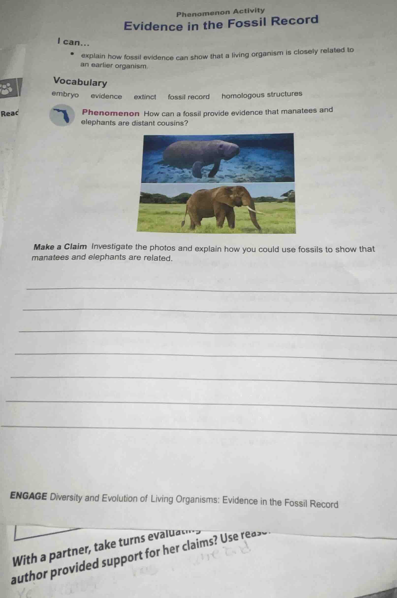 phenomenon activity evidence in the fossil record i can... - explain ho…