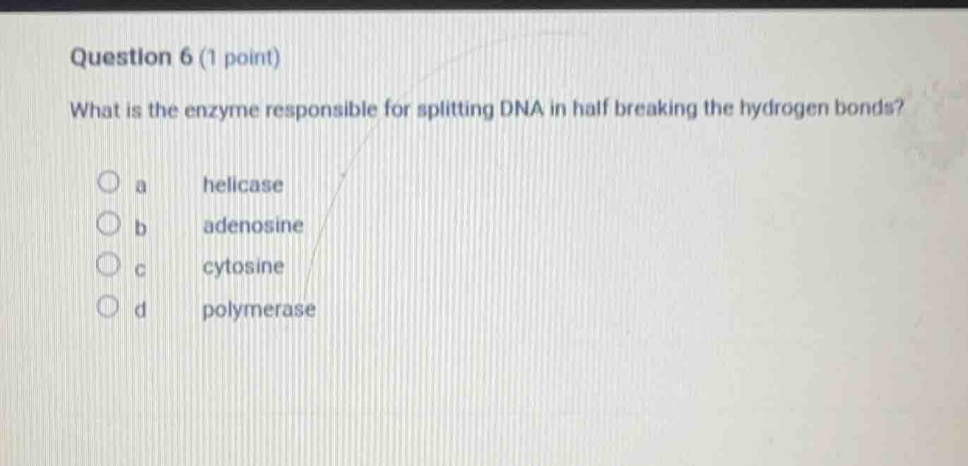 question 6 (1 point) what is the enzyme responsible for splitting dna i…