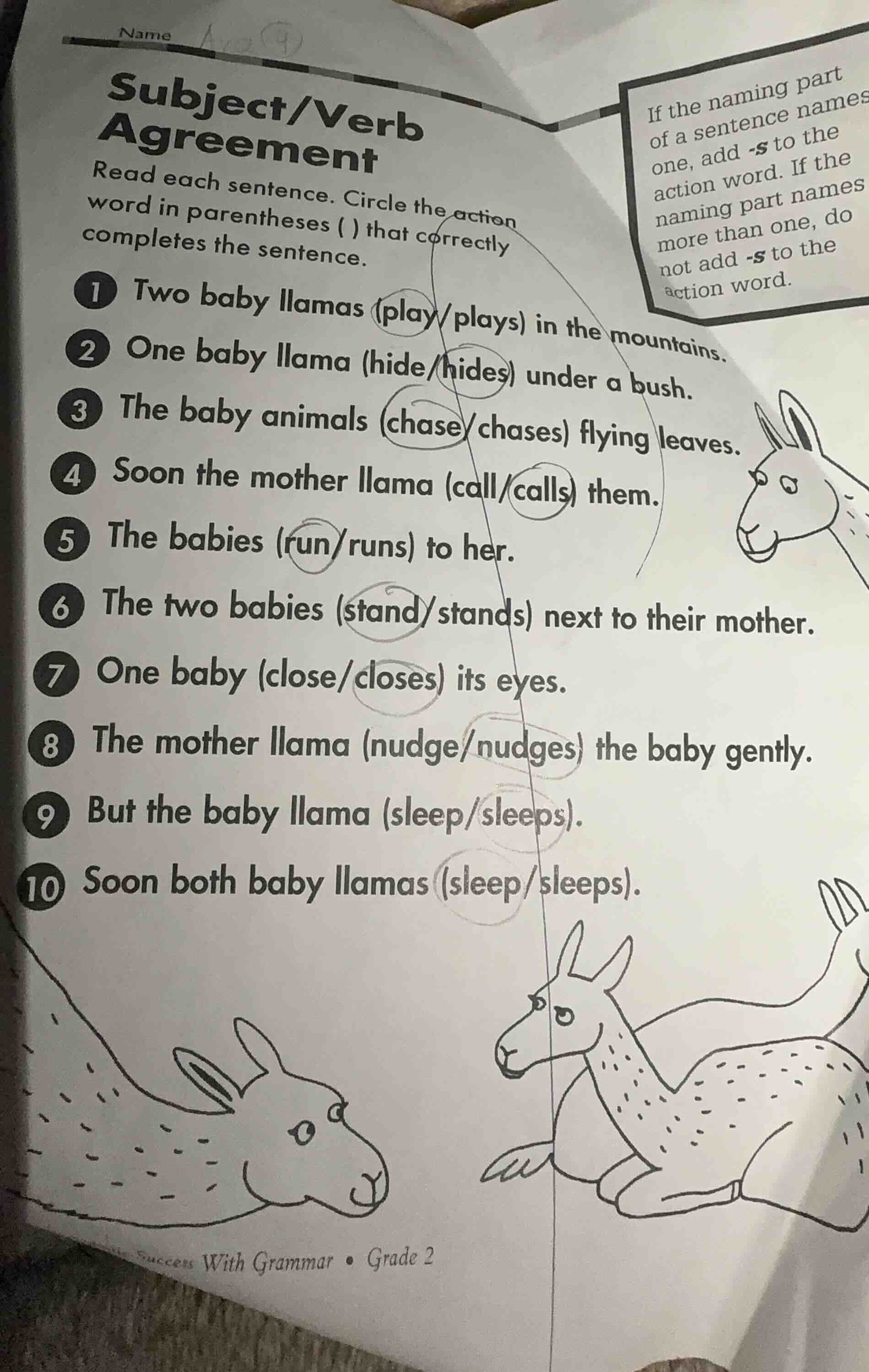 subject/verb agreement read each sentence. circle the action word in pa…