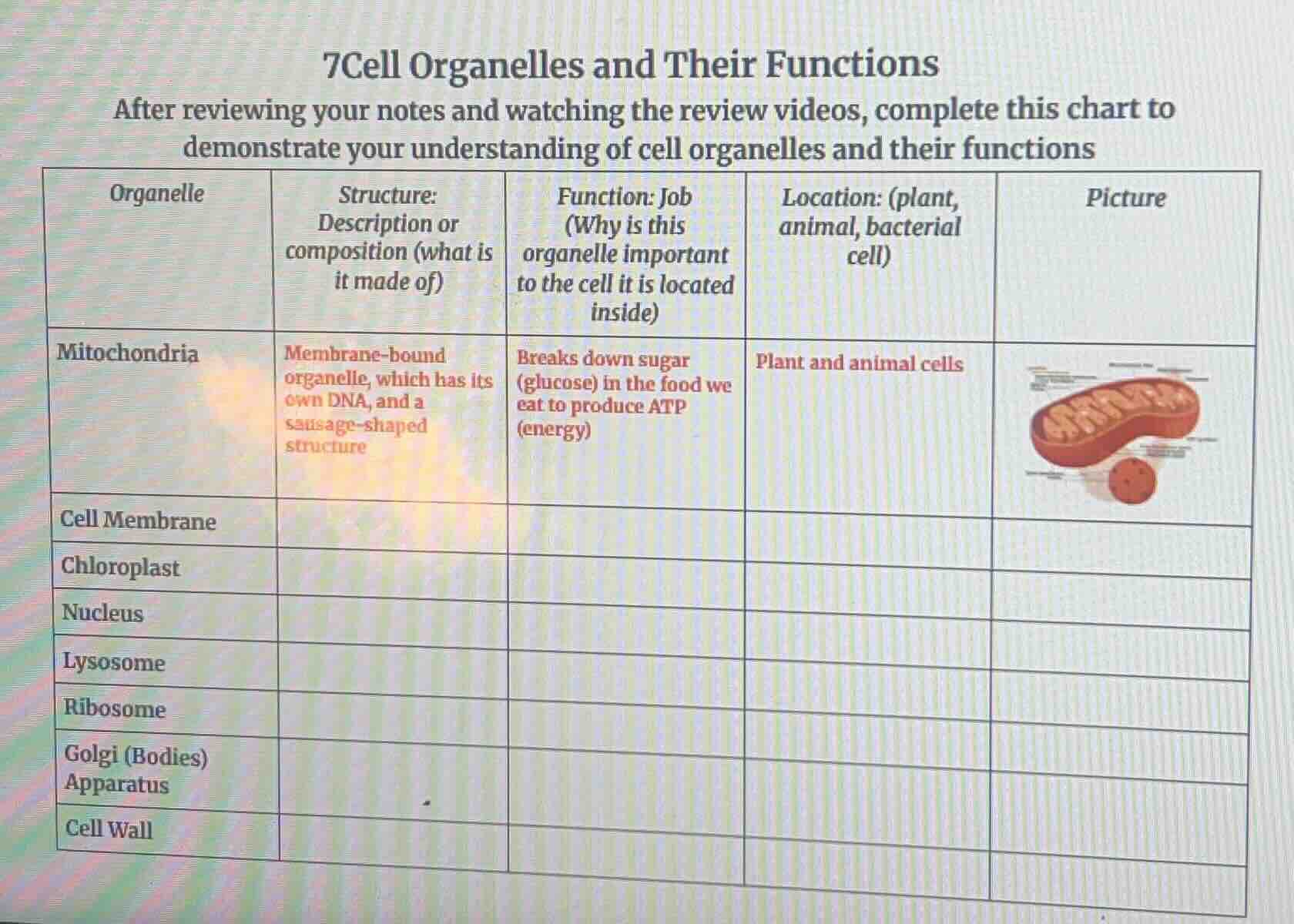 7cell organelles and their functions after reviewing your notes and wat…