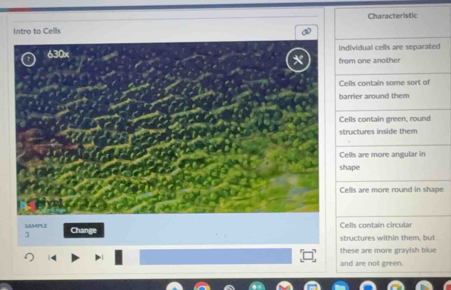 intro to cells characteristic individual cells are separated from one a…
