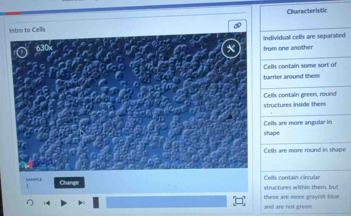 intro to cells sample 1 change characteristic individual cells are sepa…