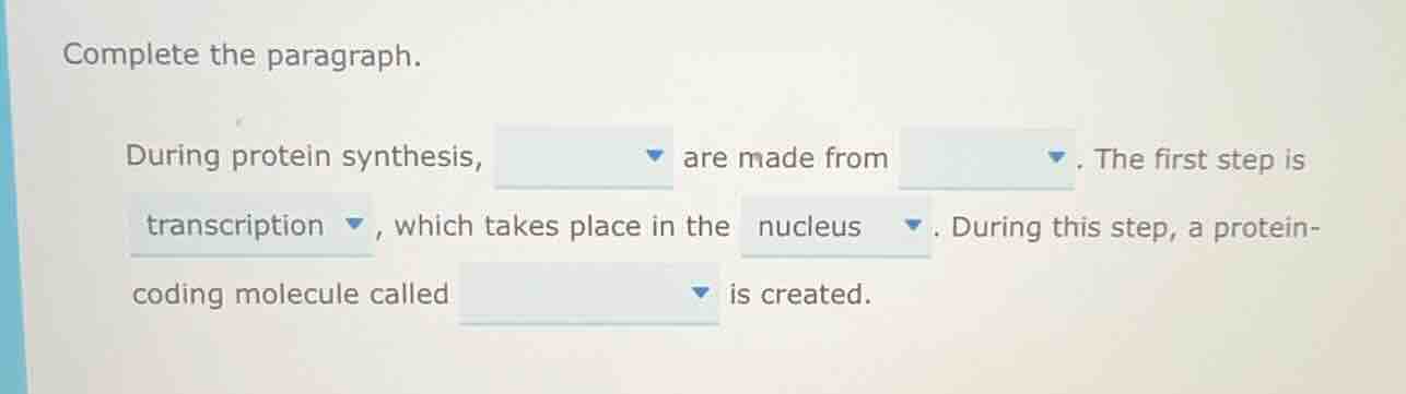 complete the paragraph. during protein synthesis, are made from . the f…