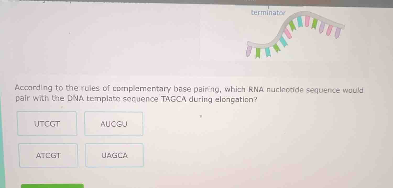 according to the rules of complementary base pairing, which rna nucleot…