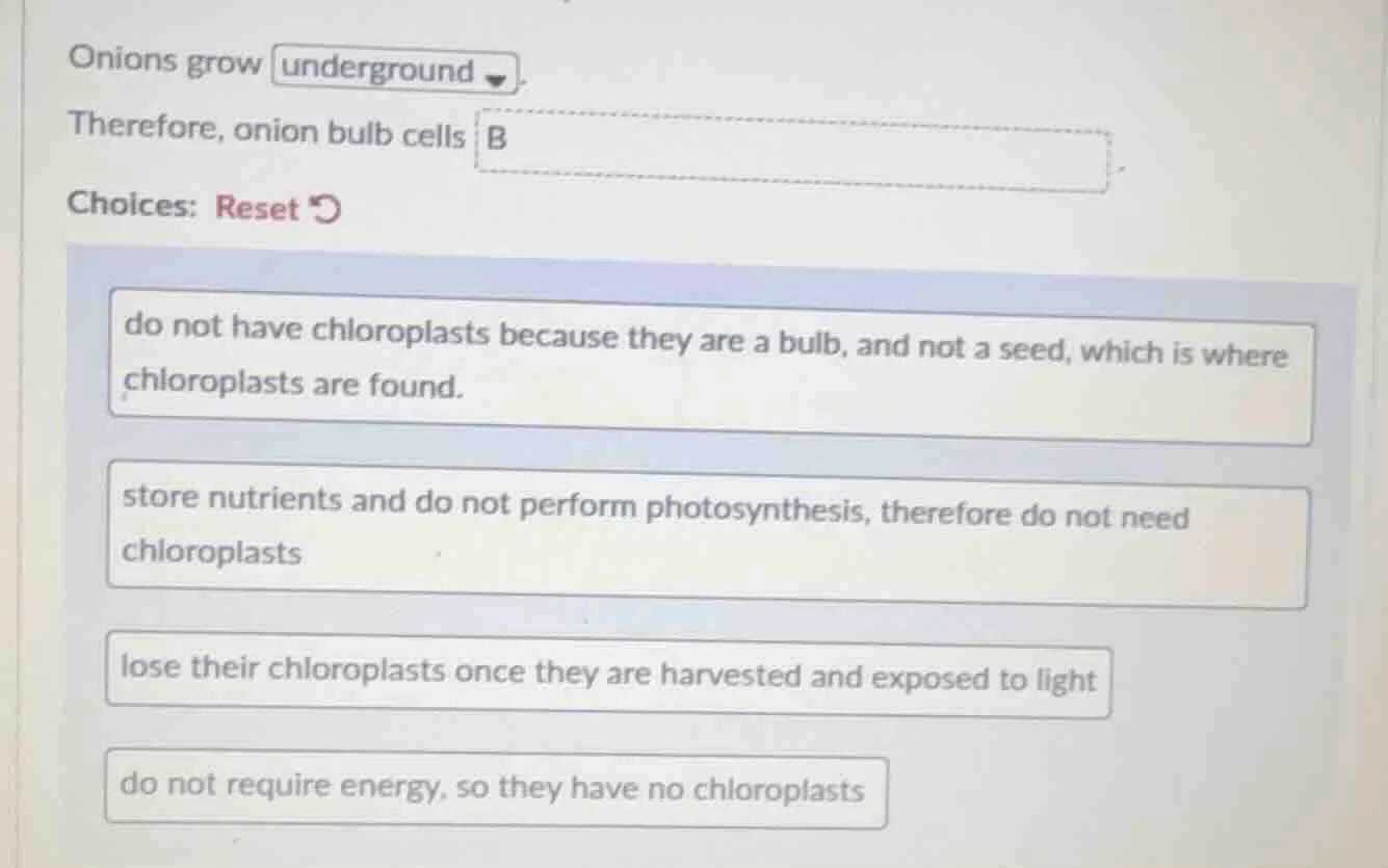 onions grow underground. therefore, onion bulb cells b. choices: reset …