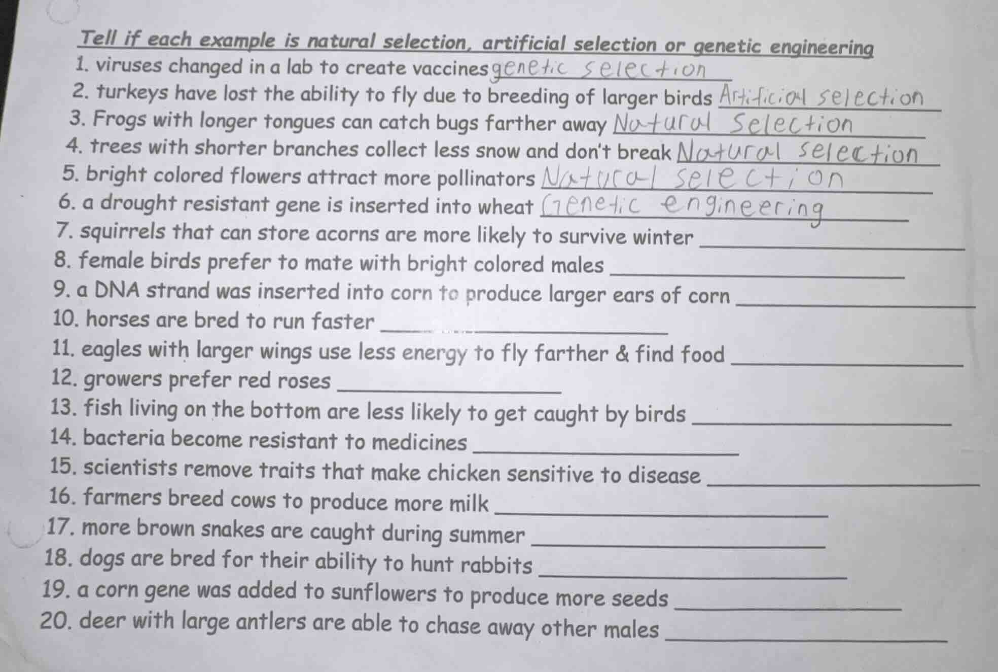 tell if each example is natural selection, artificial selection or gene…