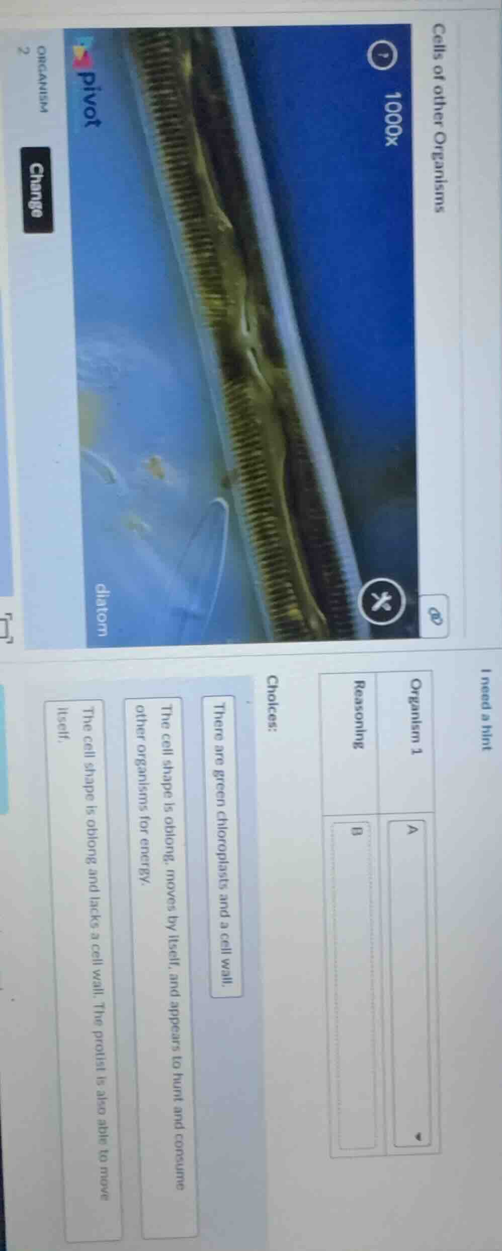 cells of other organisms 1000x pivot diatom i need a hint organism 1 re…