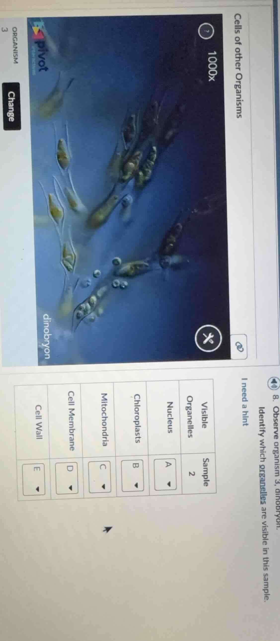 cells of other organisms 1000x dinobyon organism 3 change 8. observe or…