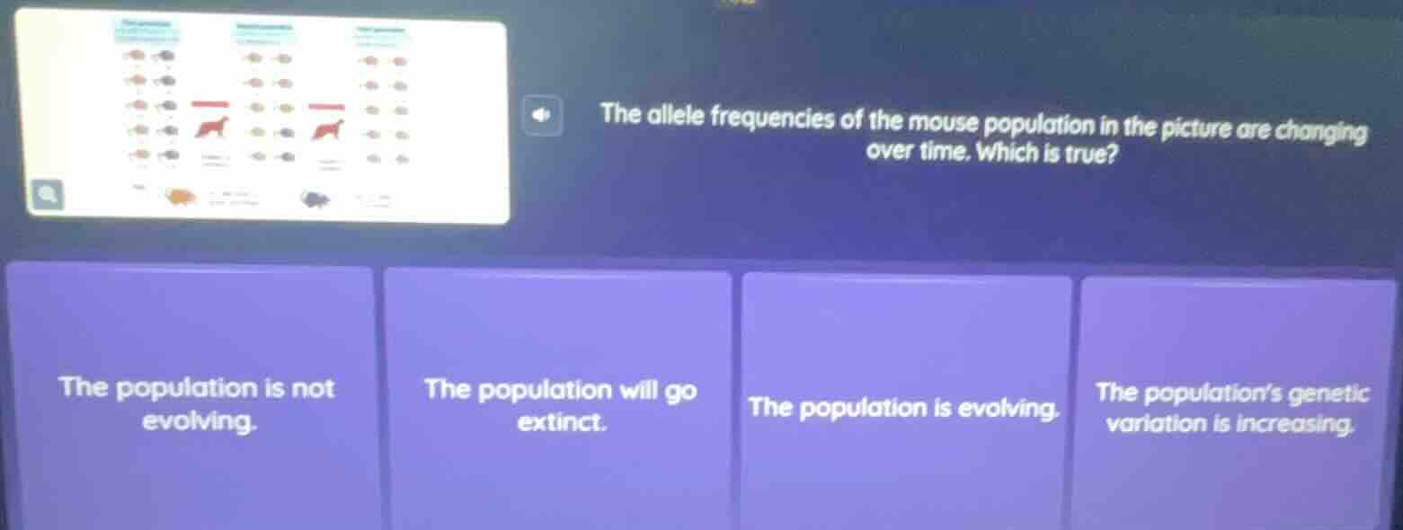the allele frequencies of the mouse population in the picture are chang…