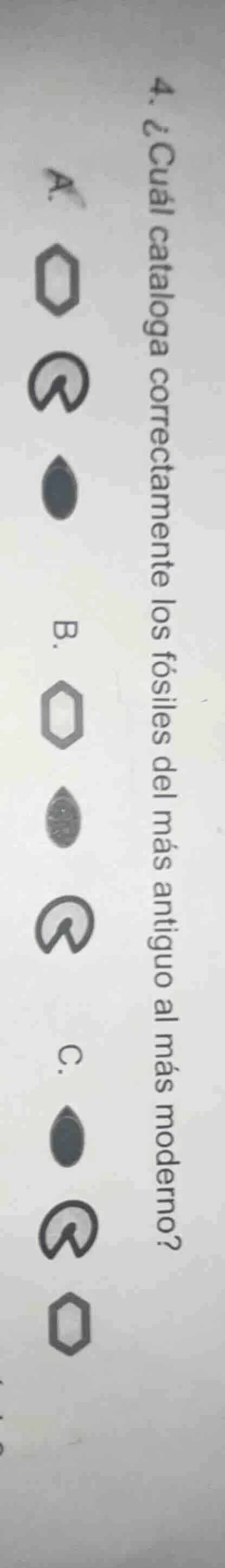 4. ¿cuál cataloga correctamente los fósiles del más antiguo al más mode…