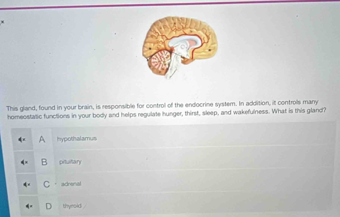 this gland, found in your brain, is responsible for control of the endo…