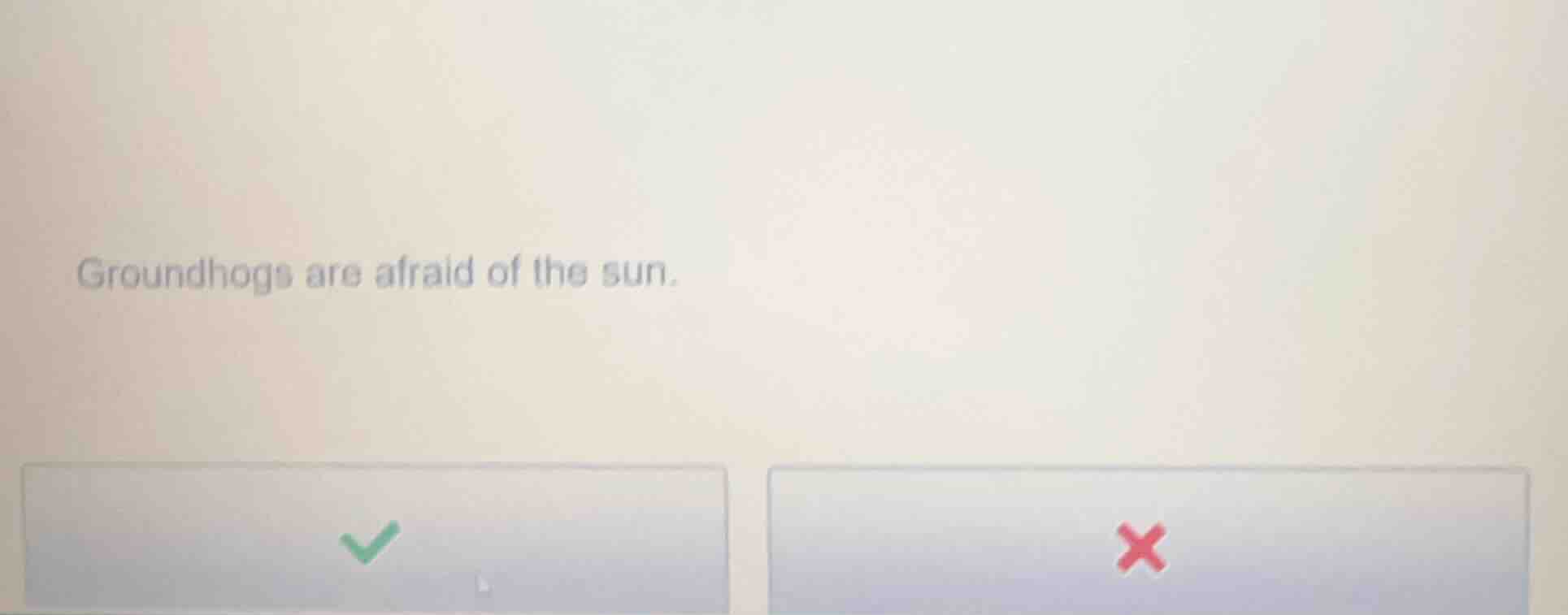groundhogs are afraid of the sun.