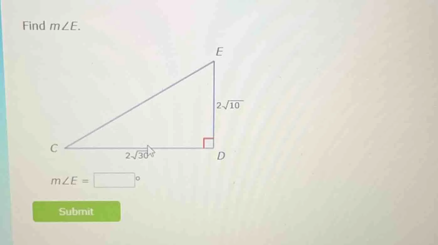 find ( mangle e ). ( mangle e = square^circ )