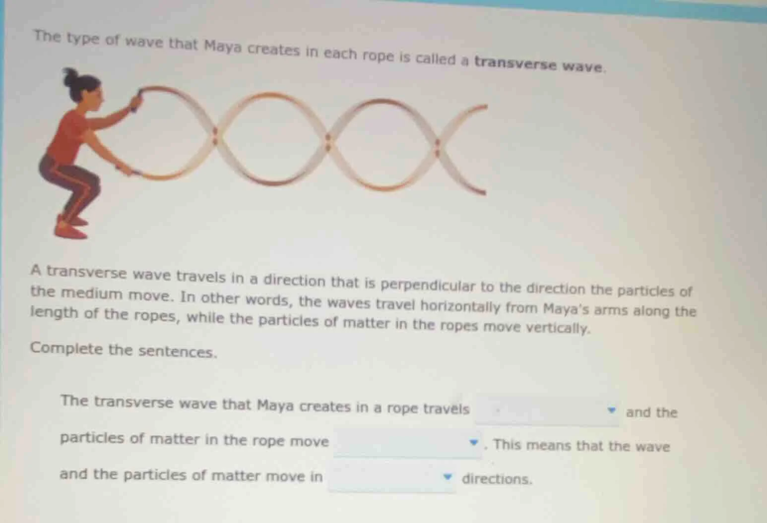 the type of wave that maya creates in each rope is called a transverse …