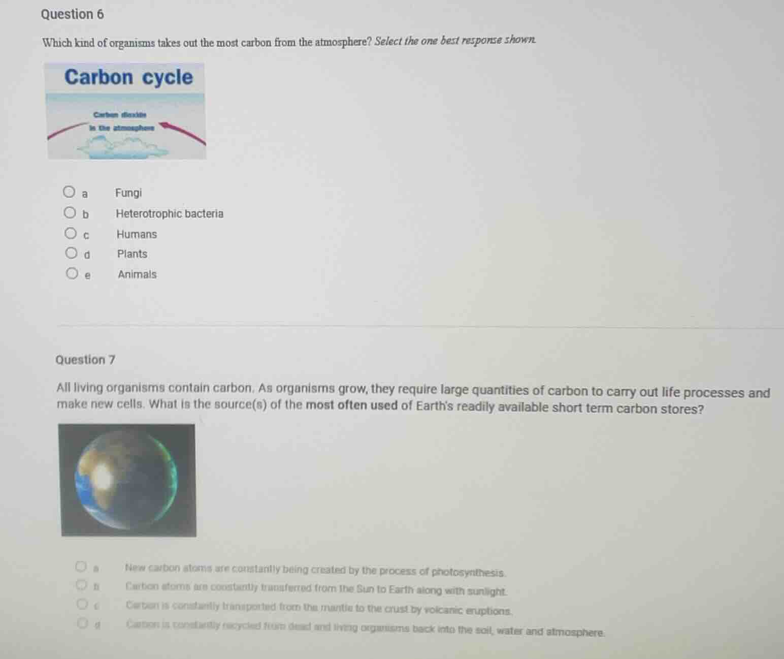 question 6 which kind of organisms takes out the most carbon from the a…