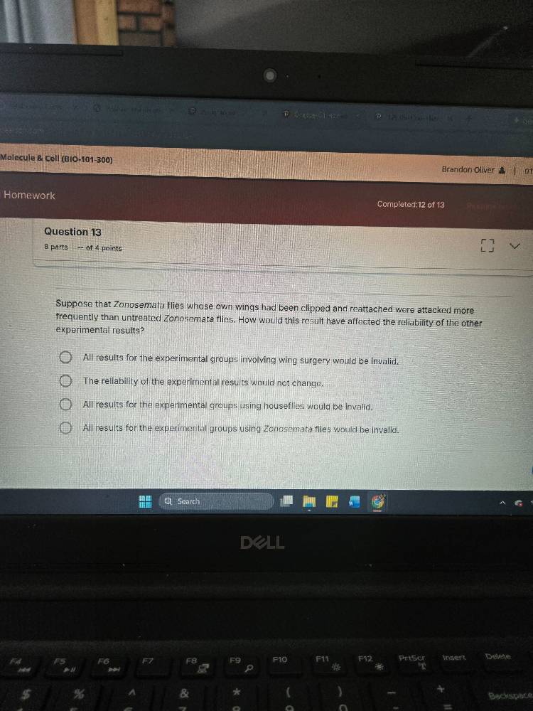 suppose that zonosemata flies whose own wings had been clipped and reat…