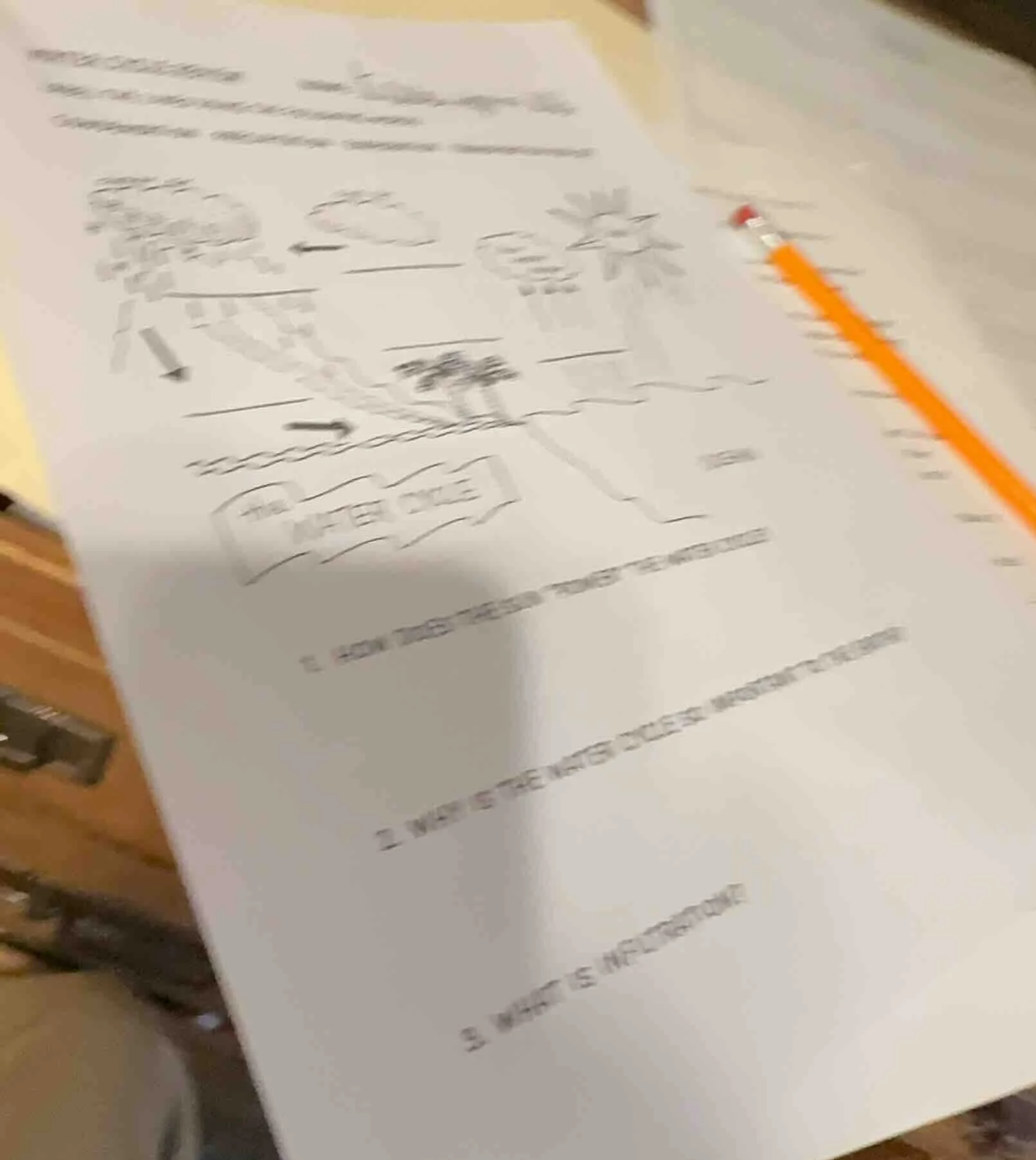 1. how does the sun \power\ the water cycle? 2. why is the water cycle …