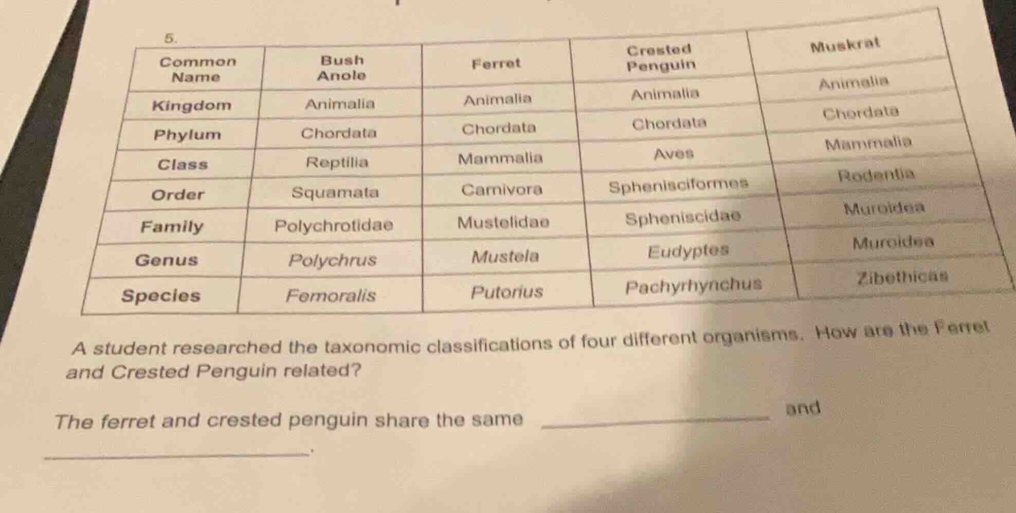 5. a student researched the taxonomic classifications of four different…