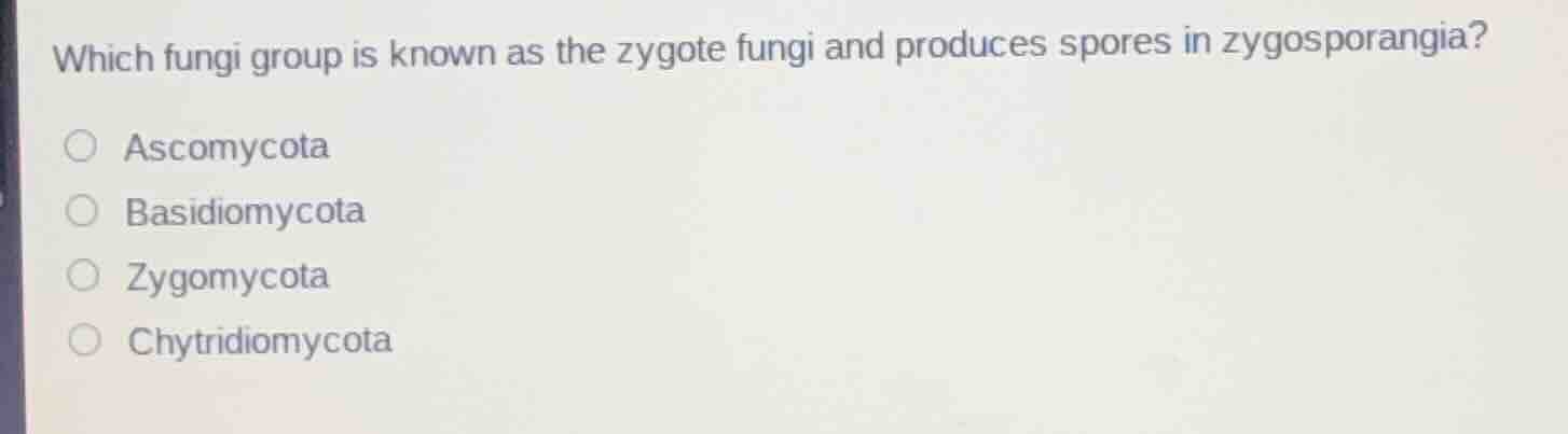 which fungi group is known as the zygote fungi and produces spores in z…