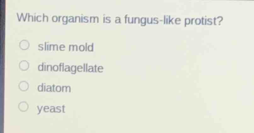 which organism is a fungus - like protist? slime mold dinoflagellate di…