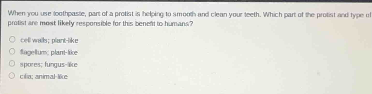 when you use toothpaste, part of a protist is helping to smooth and cle…