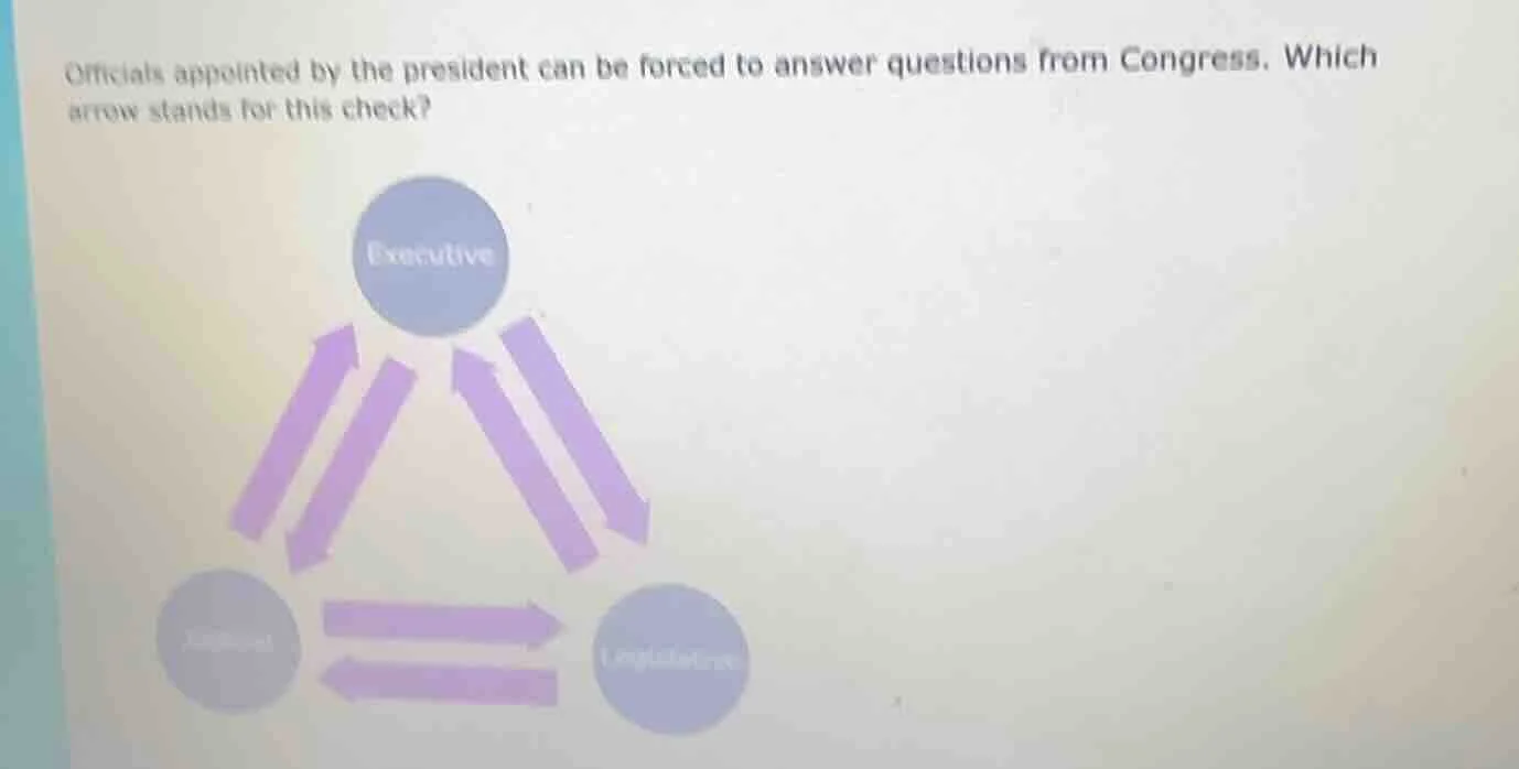 officials appointed by the president can be forced to answer questions …