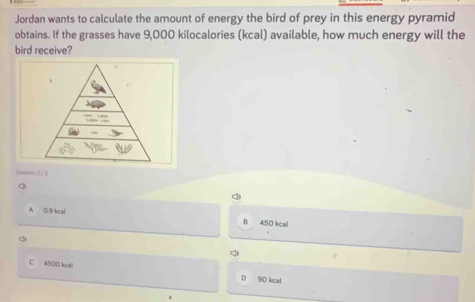 jordan wants to calculate the amount of energy the bird of prey in this…