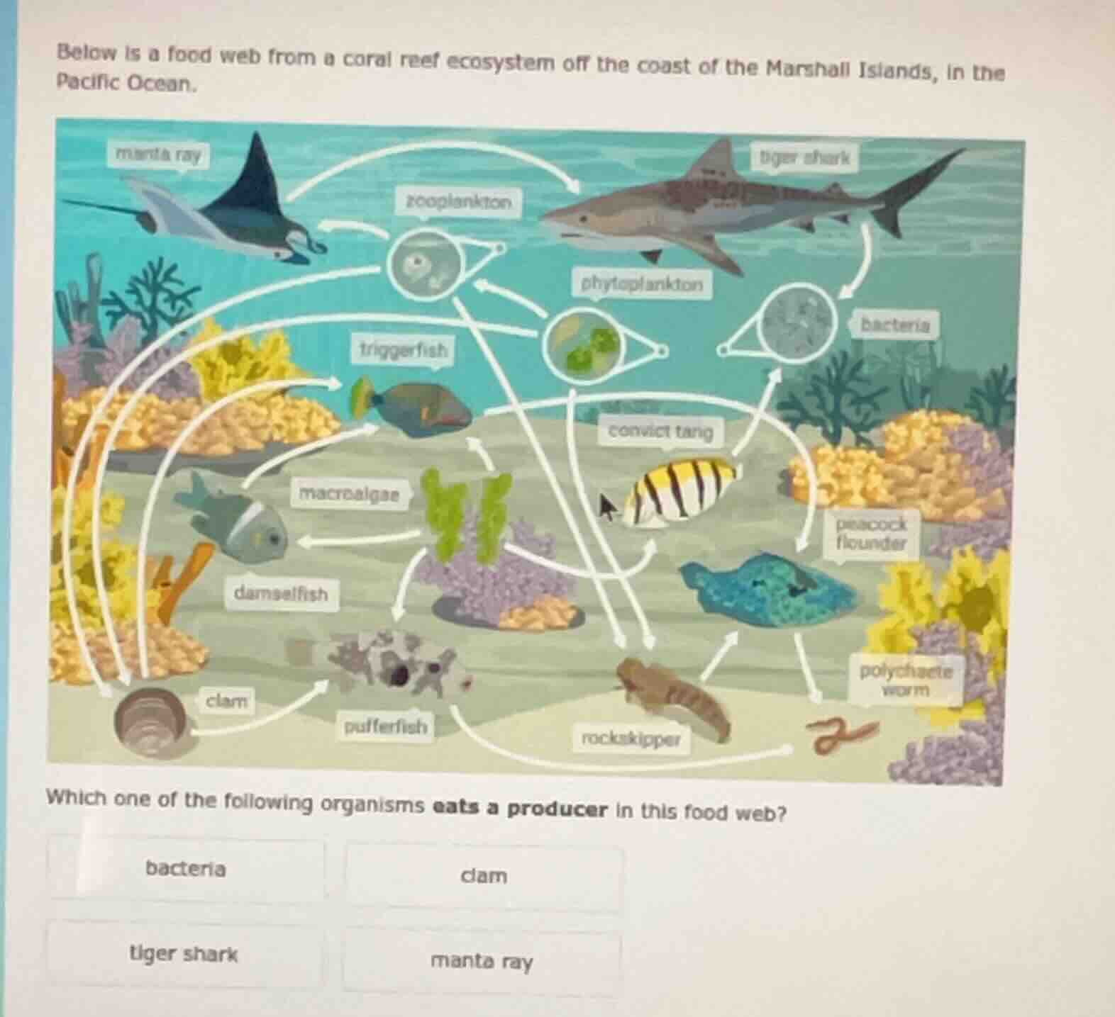 below is a food web from a coral reef ecosystem off the coast of the ma…