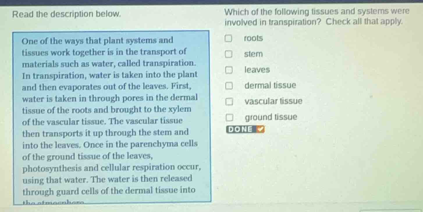 read the description below. one of the ways that plant systems and tiss…