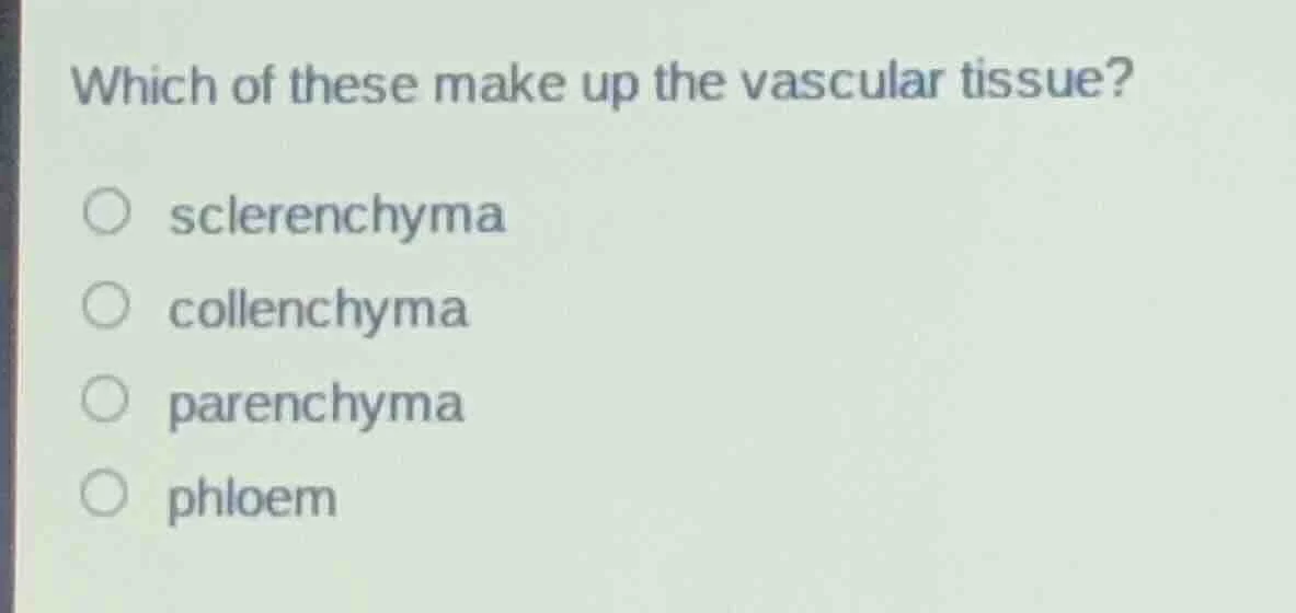 which of these make up the vascular tissue? sclerenchyma collenchyma pa…