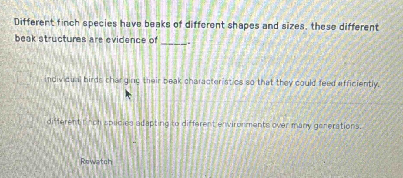 different finch species have beaks of different shapes and sizes. these…