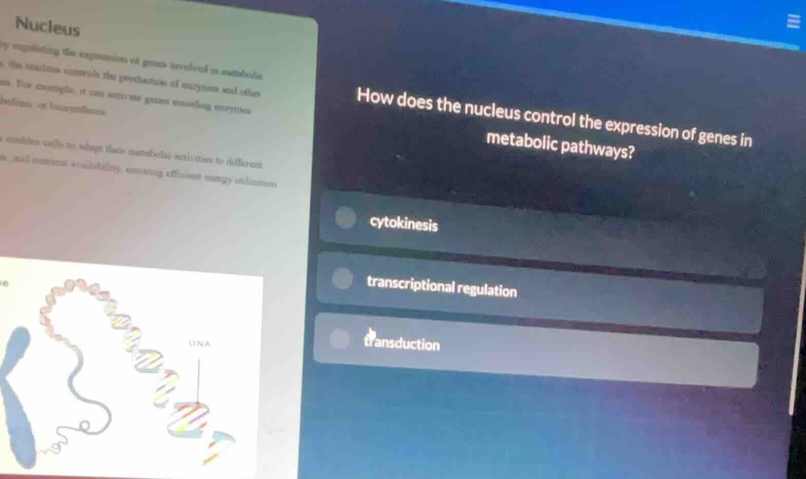 how does the nucleus control the expression of genes in metabolic pathw…