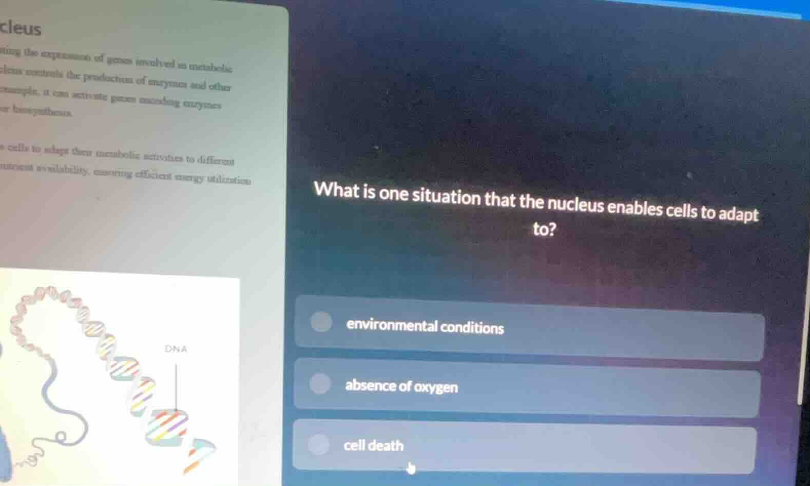 what is one situation that the nucleus enables cells to adapt to? - env…