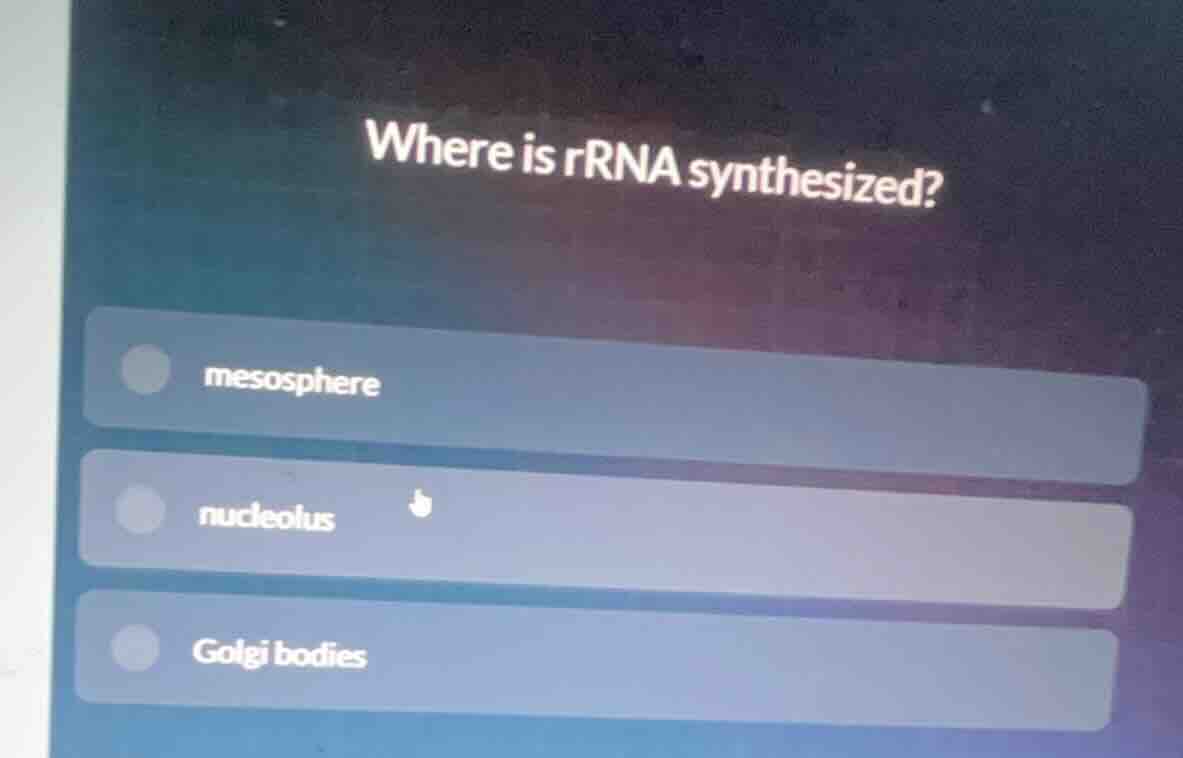 where is rrna synthesized? mesosphere nucleolus golgi bodies