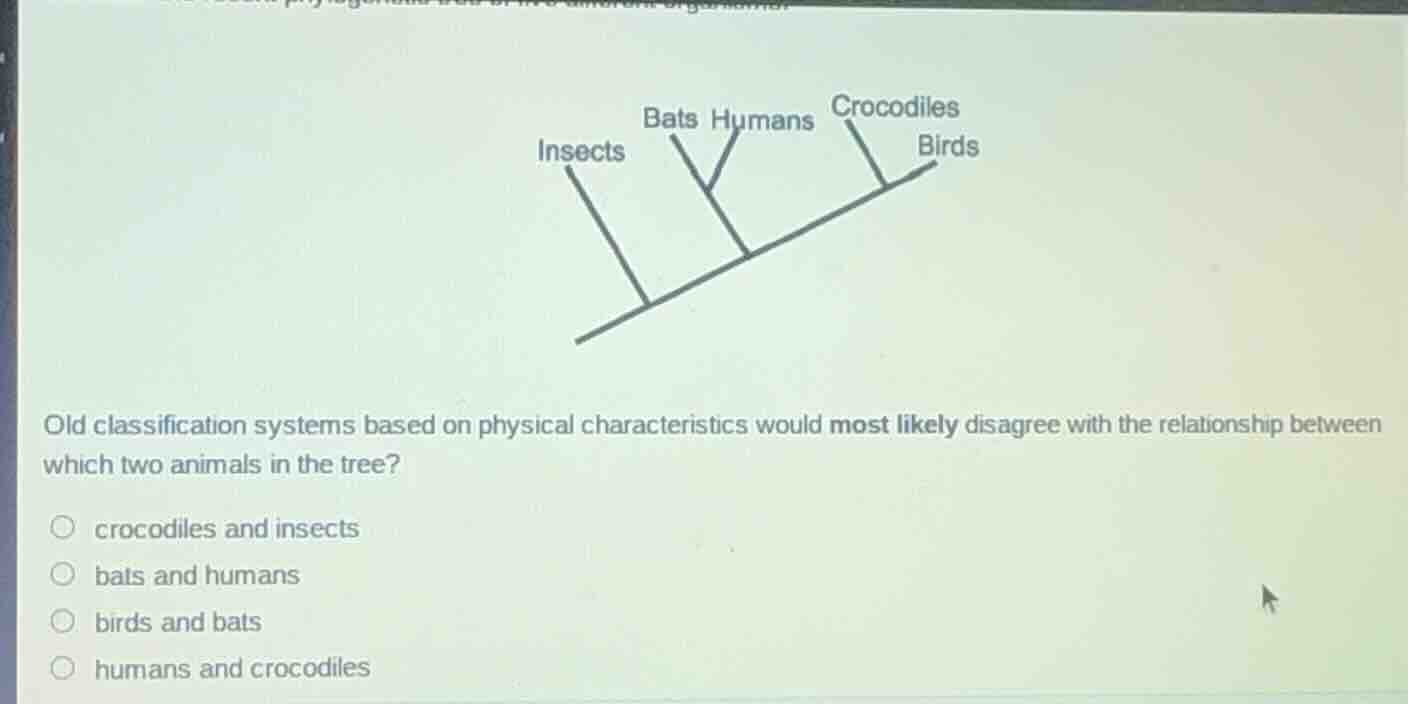 old classification systems based on physical characteristics would most…