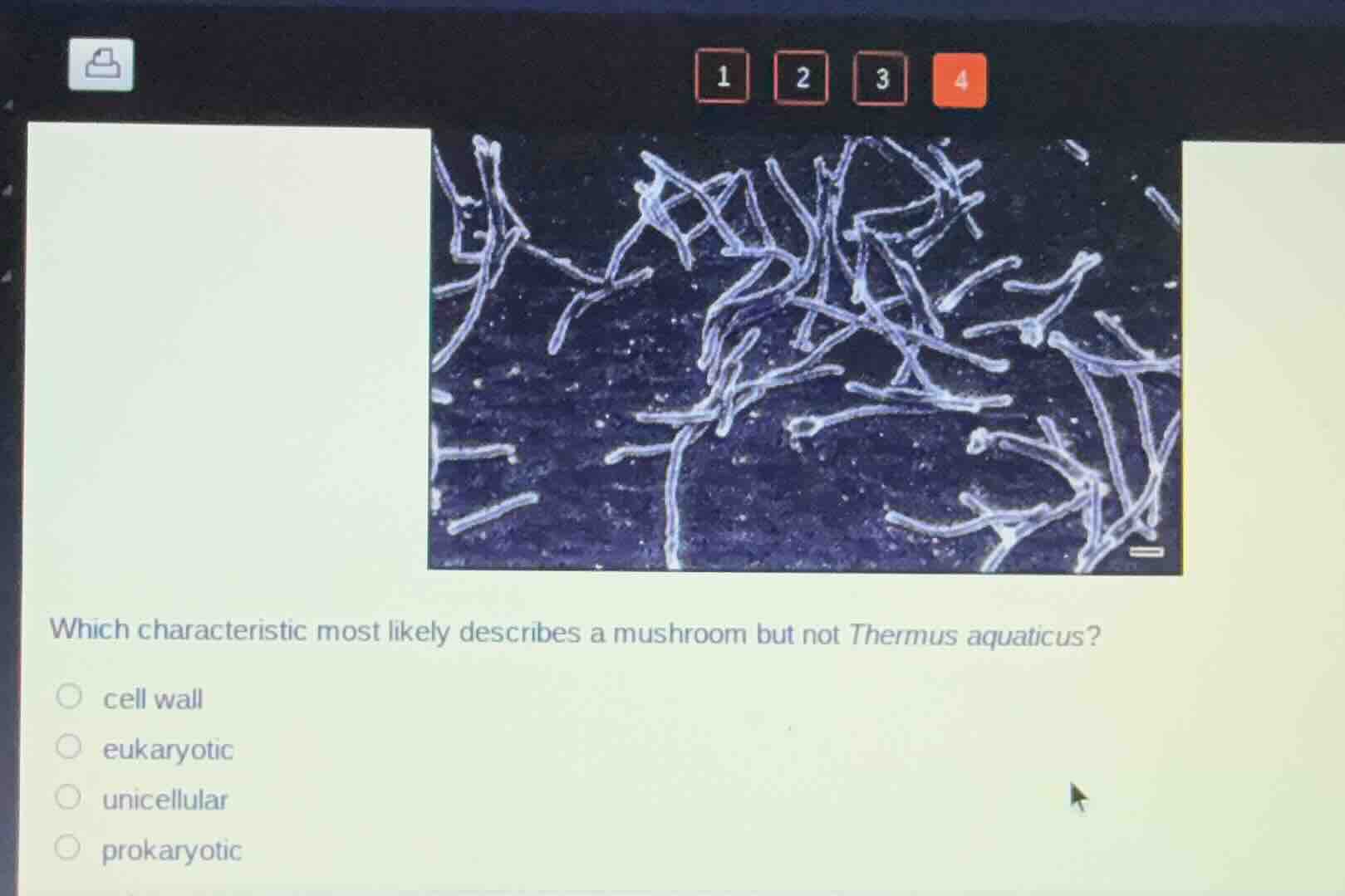 which characteristic most likely describes a mushroom but not thermus a…