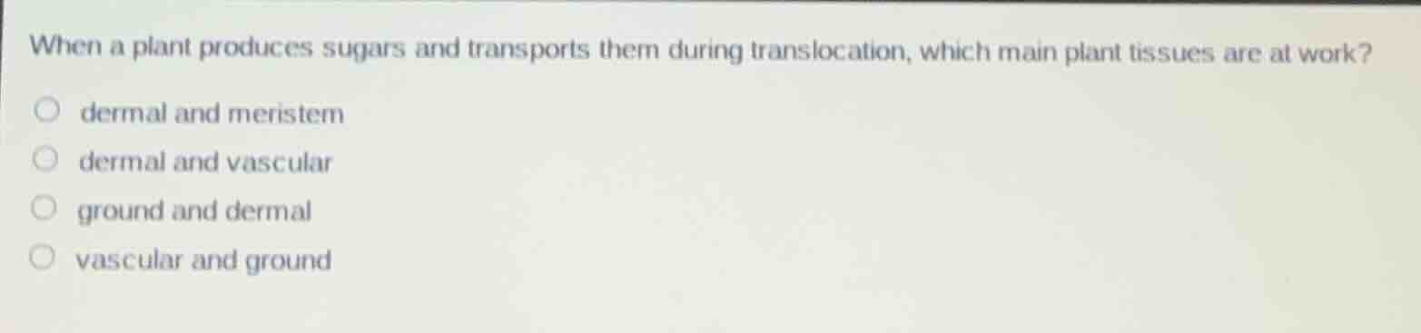 when a plant produces sugars and transports them during translocation, …